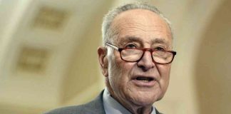 news-16112024-220314