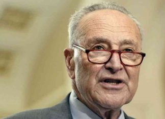 Schumer Urges Bi-Partisanship After Vowing to Push Democrat Agenda: Analysis & Updates news-16112024-220314