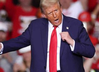 Advisors Selected by Trump: A Look at His Picks news-17112024-010454