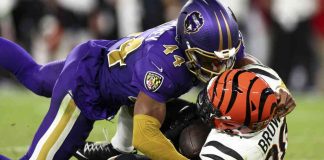 news-17112024-131615