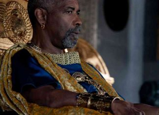 Accurate History of Gladiator 2: Unveiling the Truth news-17112024-191838