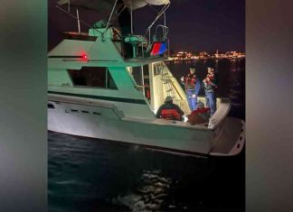 Coast Guard Detains 20+ Migrants on Boat off California Coast news-18112024-071330