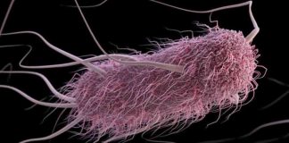 news-18112024-193255