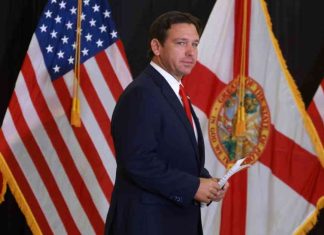 DeSantis Announces Timetable for Naming Rubio Senate Successor: Calls for Trump to Fill Seat news-18112024-221835