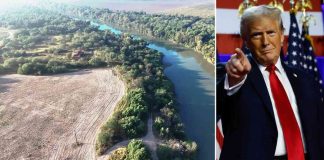 news-20112024-012712