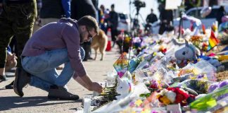 news-20112024-135543