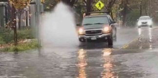 news-21112024-115124