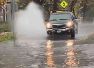 Santa Rosa Flooded with Heavy Rainfall: Minor Flooding Reported news-21112024-115124