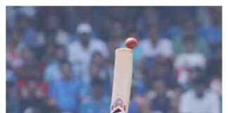 news-22112024-074601