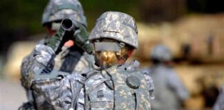 news-22112024-134802