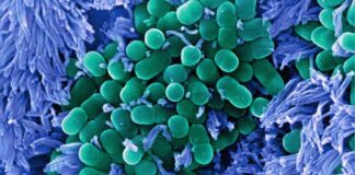 news-22112024-165031