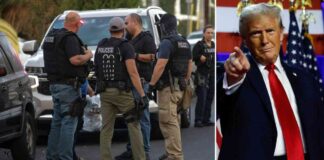 news-22112024-194955