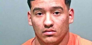 news-22112024-225026