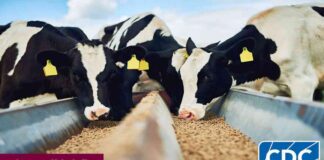 news-25112024-192712