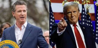 news-25112024-230617