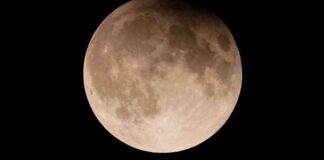 news-25112024-230639