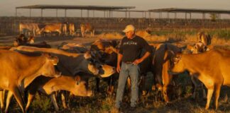 news-26112024-051154