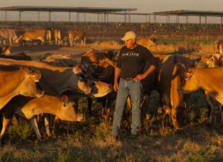 Bird Flu Virus Found in California Raw Milk: Risks and Prevention Tips news-26112024-051154