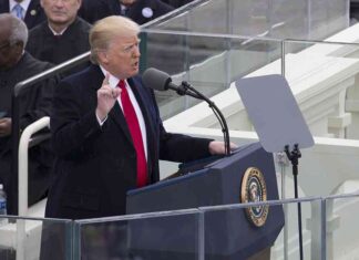 Impact of Donald Trump’s Trade Policies on Farmers: Price Drops and Tariff Wars Stir Controversy news-26112024-141644