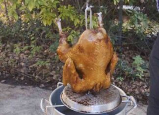 Deep-Frying vs. Oven-Roasting Thanksgiving Turkey: Which is Better? news-27112024-142734