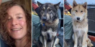 news-27112024-172221