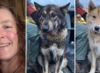 Search for missing Oregon hiker and dogs suspended due to weather conditions news-27112024-172221