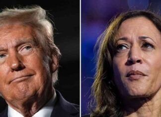 Uncovering the Truth: Harris Never Led Trump in Internal Polls, DNC Officials Unaware news-27112024-232340