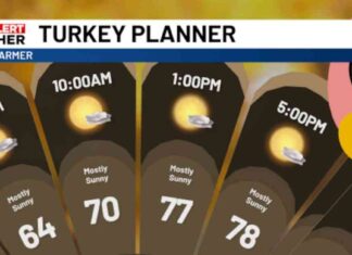 Suncoast Thanksgiving Sunrise: Ideal Picnic Weather with Clear Skies news-28112024-113733