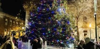 news-28112024-204015