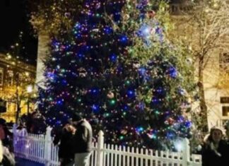 Chambersburg Christmas Parade: Kick off the Holidays in Style news-28112024-204015