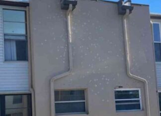 Florida Condo Gunman Killed by Sniper After Firing 200 Rounds news-29112024-054419