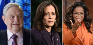 news-29112024-144625