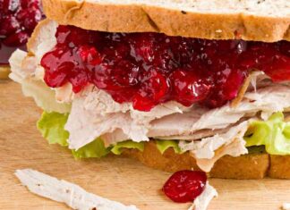 Creative Next-Day Leftover Turkey Recipes for Post-Thanksgiving Delights news-29112024-175115