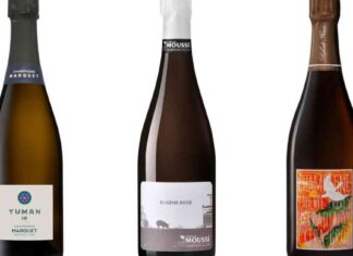 Best Champagnes Under $100 for New Year’s Eve: Top 5 Picks best-champagnes-under-100-for-new-years-eve-top-5-picks