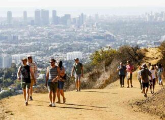 California Population Rebounds to Near Pre-Pandemic Level california-population-rebounds-to-near-pre-pandemic-level