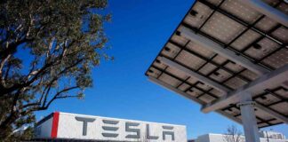 californias-job-market-a-closer-look-at-the-decline