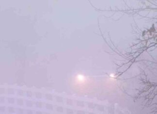 Chicago Weather Update: Dense Fog Advisory in Parts of Chicago, Big Temperature Drop Ahead chicago-weather-update-dense-fog-advisory-in-parts-of-chicago-big-temperature-drop-ahead