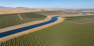 debate-over-californias-new-water-delivery-plan-durable-solution-or-flawed-fix