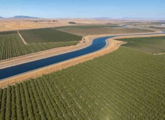 Debate over California’s New Water Delivery Plan: Durable Solution or Flawed Fix? debate-over-californias-new-water-delivery-plan-durable-solution-or-flawed-fix