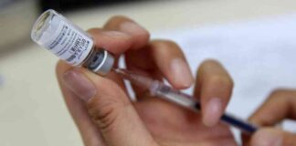 developing-a-cancer-vaccine-to-protect-future-generations-a-personal-reflection