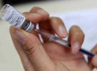 Developing a Cancer Vaccine to Protect Future Generations: A Personal Reflection developing-a-cancer-vaccine-to-protect-future-generations-a-personal-reflection