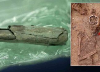 Earliest Evidence of Christianity North of Alps Uncovered by Archaeologists earliest-evidence-of-christianity-north-of-alps-uncovered-by-archaeologists