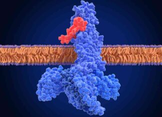 Enhance Cellular Activity Control with Innovative Tool enhance-cellular-activity-control-with-nnovative-tool