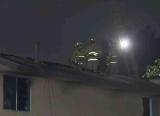 Fatal Fire in Panorama City Townhomes: 1 Dead, 3 Hospitalized fatal-fire-in-panorama-city-townhomes-1-dead-3-hospitalized
