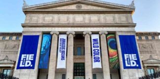 free-admission-to-2-chicago-museums-on-new-years-day-2025