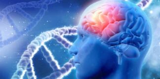 genetic-q-screening-for-wealthy-elite-the-rise-of-superbabies