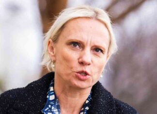 GOP Lawmaker Rejects Committee Assignments to Focus on DOGE Investment gop-lawmaker-rejects-committee-assignments-to-focus-on-doge-nvestment