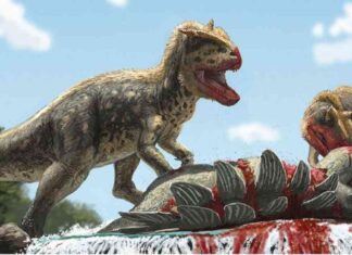 Groundbreaking Discovery: New T. rex-Like Dinosaur Species Unearthed in Asia groundbreaking-discovery-new-t-rex-like-dinosaur-species-unearthed-in-asia