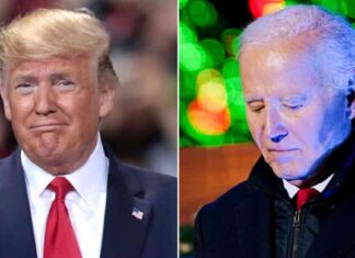 Holiday Wishes from Trump and Biden as US Prepares for Transfer of Power holiday-wishes-from-trump-and-biden-as-us-prepares-for-transfer-of-power