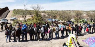 legislation-proposed-to-provide-1k-reward-for-reporting-llegal-mmigrants